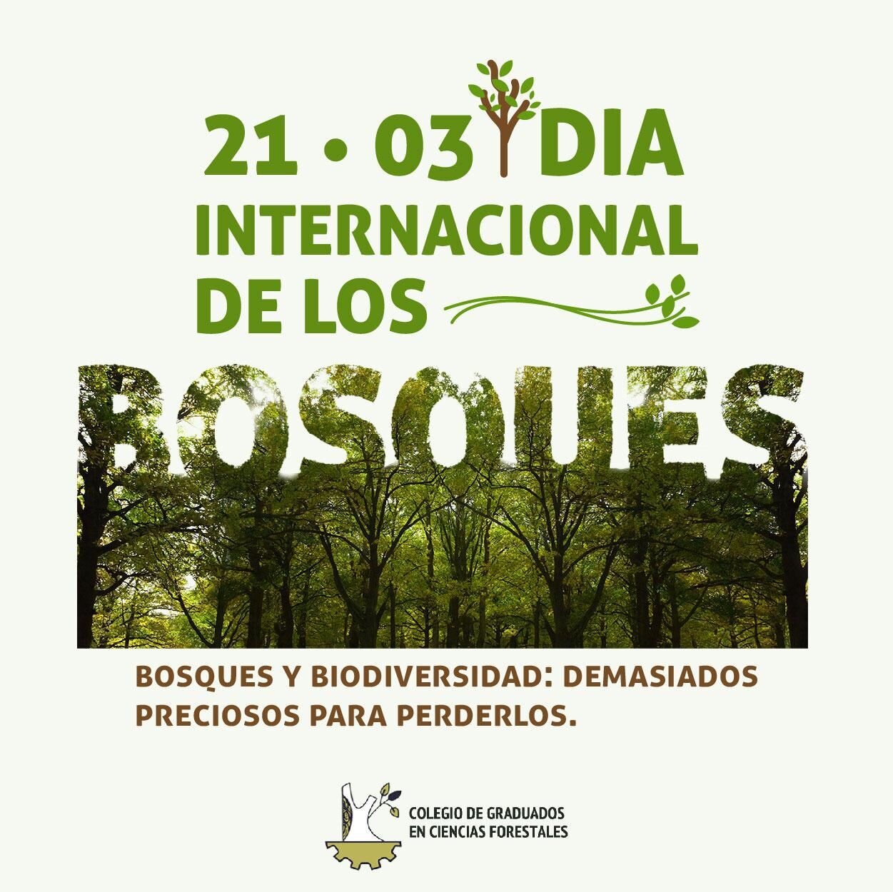 Día Internacional De Los Bosques Colegio De Graduados En Ciencias Forestales 6865